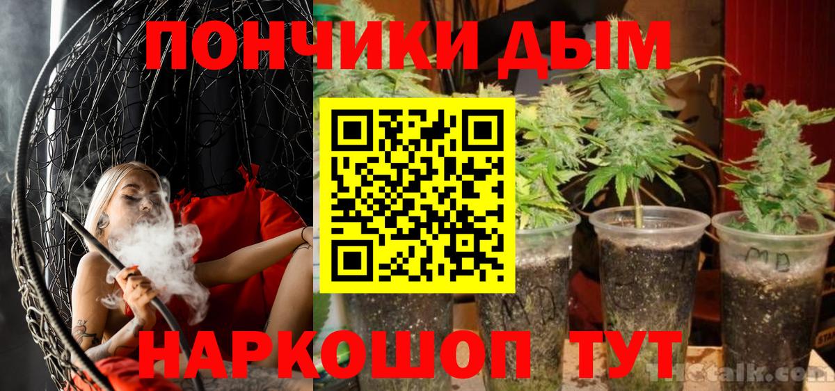 Шишки марихуана семена  Вход с VPN  Владивосток  Шишки марихуана SATIVA & INDICA 